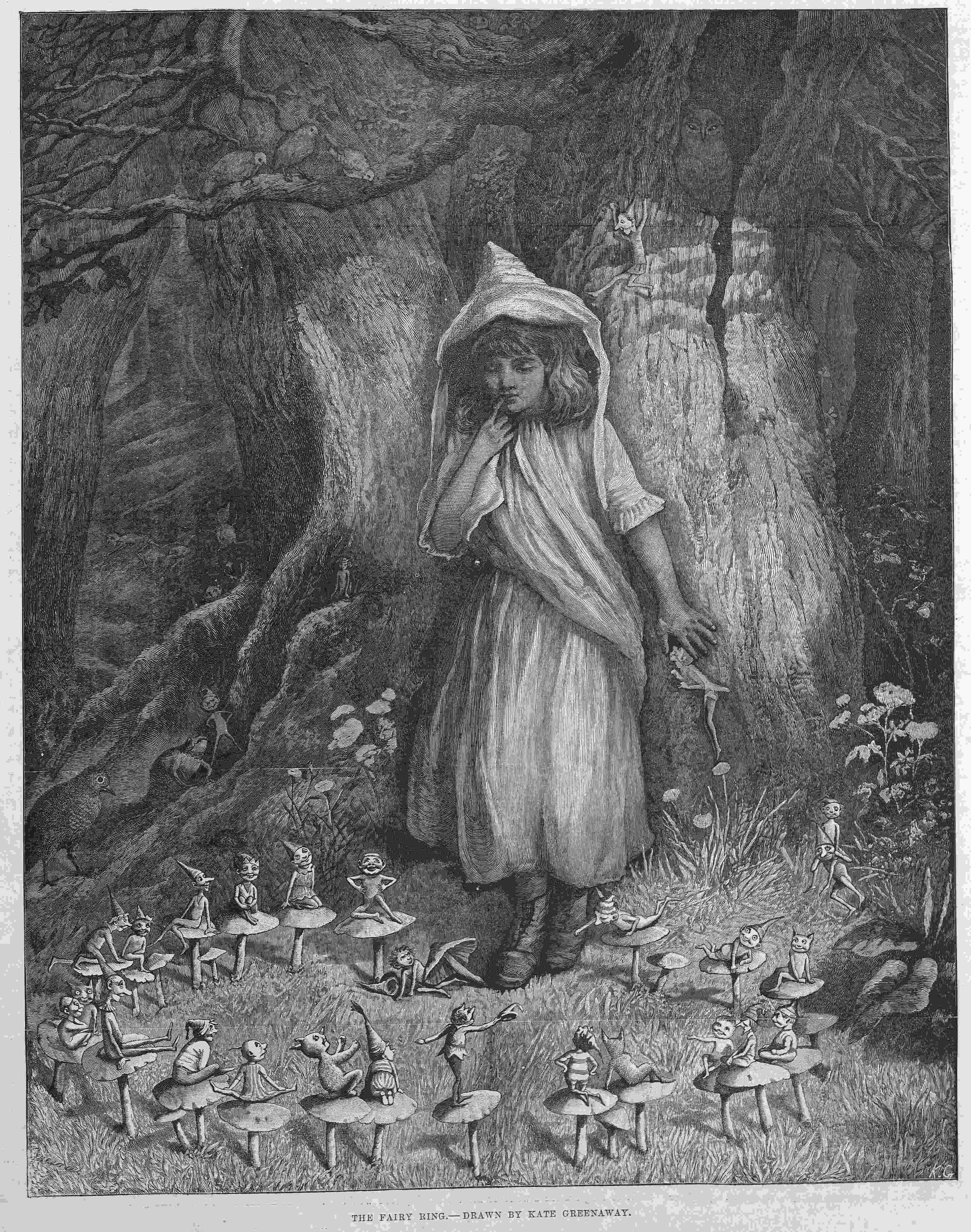 The fairy ring